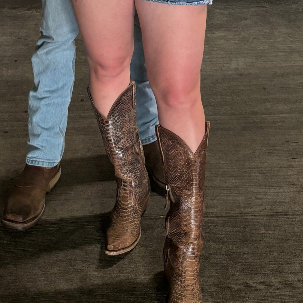 IDYLLWIND Miranda Lambert| Distressed Brown Embossed Snake Skin Western Boots